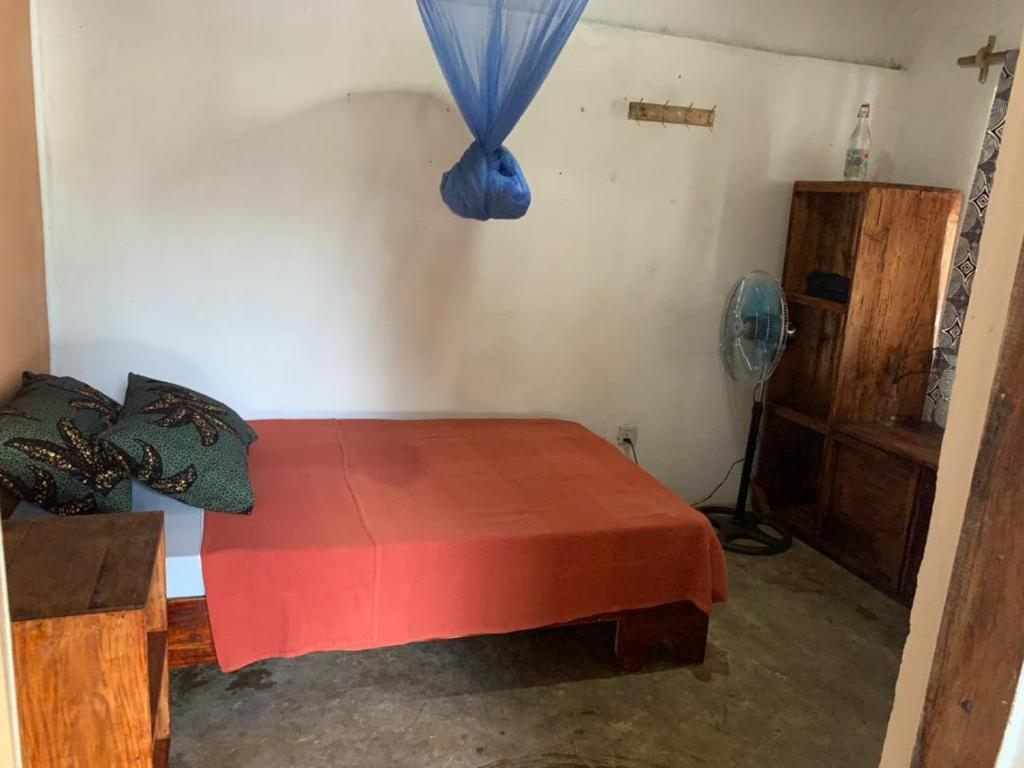 Standard private room with double bed and fan